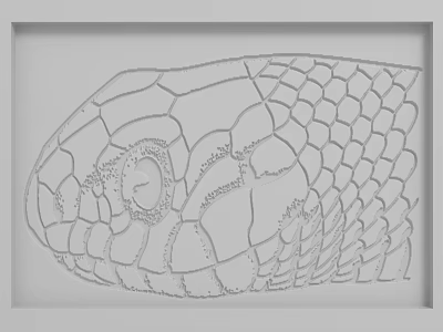 Gray Background Wall Featuring Framed Snake Head Line Drawing With Scales And Eye Details 3d model