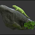 Green Lizard Perched On A Rocky Surface With Fresh Green Leaves