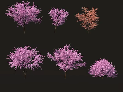 Colorful Decorative Shrubs In Various Forms With Purple Pinkish And Light Brown Hues 3d model