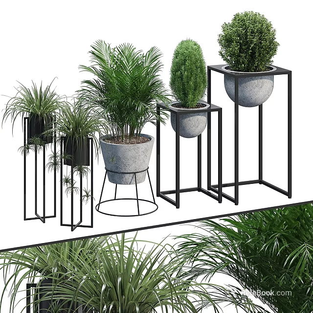 Indoor Decorative Plant Set With Modern Metal Stands And Assorted Greenery 3d model 