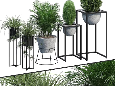 Indoor Decorative Plant Set With Modern Metal Stands And Assorted Greenery 3d model