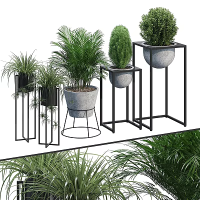 Indoor Decorative Plant Set With Modern Metal Stands And Assorted Greenery 3d model
