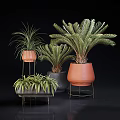 Bonsai Potted Plants with Lush Palm Fern Leaves in Terracotta Gray Pots on Metal Stands