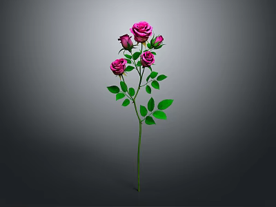 Beautiful Pink Roses With Green Leaves On Single Stem Against Gray Background 3d model