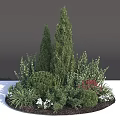 Circular Garden Shrub Arrangement With Conical Rounded Varieties White Flowers Red Accents