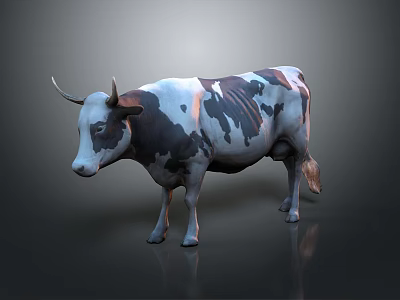 Realistic 3D Cow Model With Black And White Spots On Gray Background 3d model