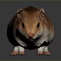 Realistic Brown And White Mouse With Detailed Fur On Gray Background