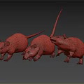 Three Gray Mice Displaying Alert Postures On Dark Reflective Surface