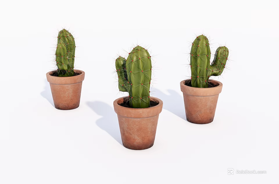 Three Cactus Potted Plants in Terracotta Pots for Indoor Home Decor 3d model 