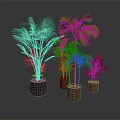 Various Indoor Plants With Green Red Leaves In Brown Pots On Dark Background