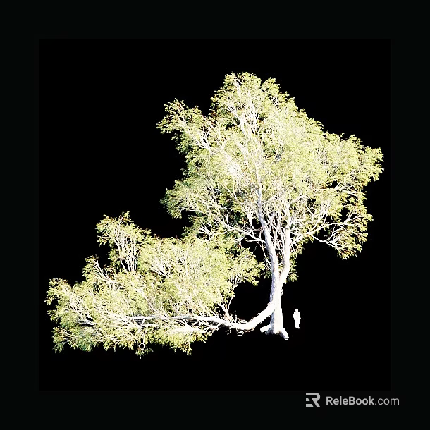 Tall Arbor With Lush Green Foliage And Natural Branch Structure 3d model 