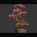 Pink Flowering Bonsai Plant with Artistic Trunk in Decorative Clay Pot