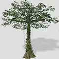 Different Types of Arbor Trees with Various Shapes and Sizes for Garden Design