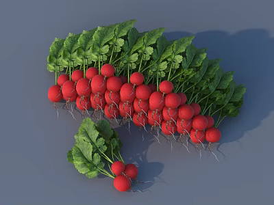 Fresh Red Radishes with Green Leaves and Red Roots Scattered on Gray Background 3d model
