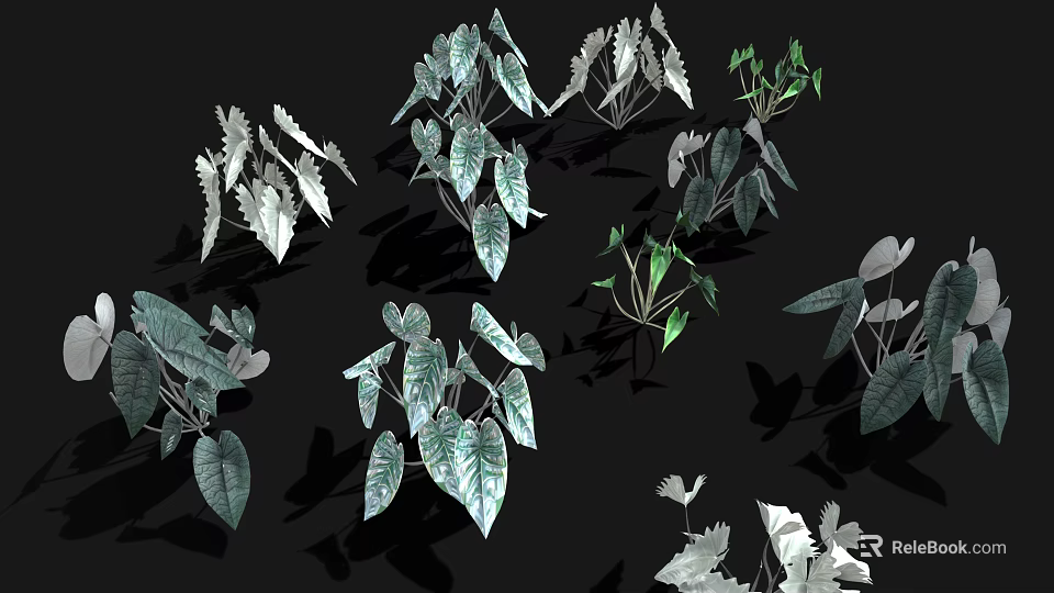 Diverse Indoor Plants With Green And White Leaves And Various Leaf Shapes 3d model 
