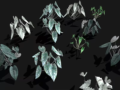 Diverse Indoor Plants With Green And White Leaves And Various Leaf Shapes 3d model