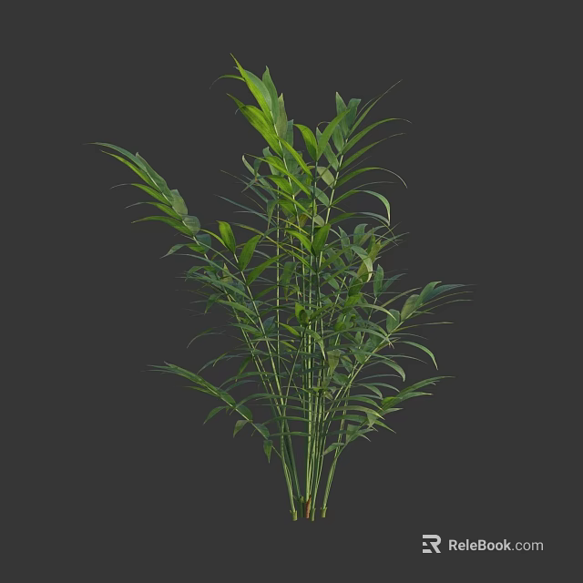 Lush Green Indoor Plant With Long Leaves On Dark Background 3d model 