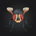Detailed Realistic Fly Insect With Red Compound Eyes And Transparent Wings
