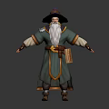 Wise Old Fantasy Wizard Character In Green Robe With Decorated Hat Long Beard And Scroll