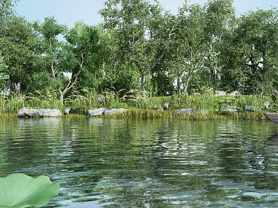 Waterfront Landscape with Lush Trees Green Grass Stones on Calm Water Reflections and Lotus Leaf 3d model