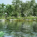 Waterfront Landscape with Lush Trees Green Grass Stones on Calm Water Reflections and Lotus Leaf