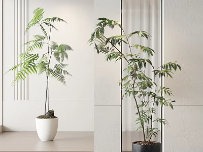 Green Plant Potted Plant Green Plant Potted Plant Flower Pot 3d model