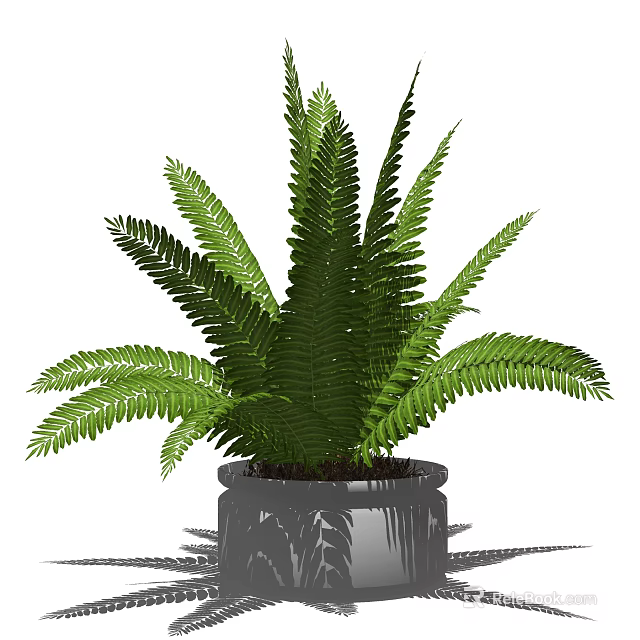 Lush Green Fern Potted Plant In Gray Decorative Pot With Healthy Leaves 3d model 