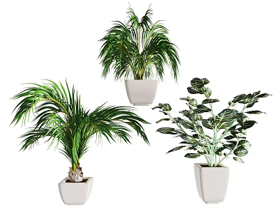 green plant potted plant flower pot plant bonsai 3d model