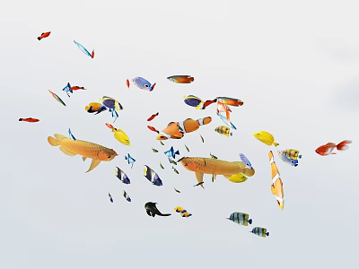 Vibrant Variety of Colorful Tropical Aquarium Fish Swimming In Clear Water Tank 3d model