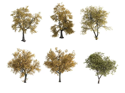 Autumn Tree Modern Tree 3d model Autumn Tree Modern Tree 3d model