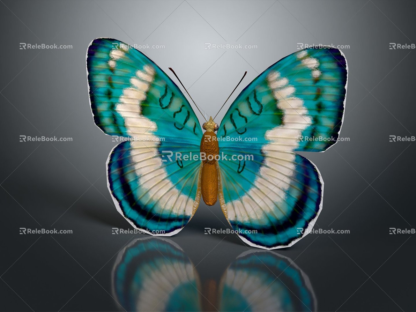 Modern Butterfly Colored Butterfly Tabby Butterfly Leaf Butterfly 3d model