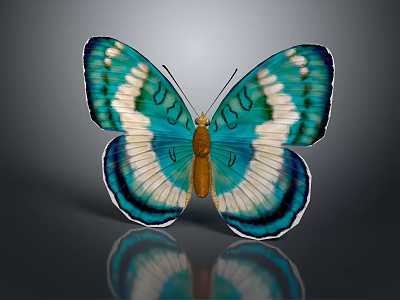 Vibrant Blue And White Butterfly with Patterned Wings on Dark Background Showing Reflection 3d model