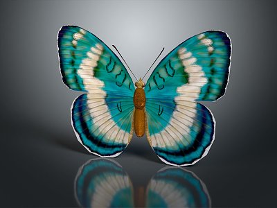 Modern Butterfly Colored Butterfly Tabby Butterfly Leaf Butterfly 3d model