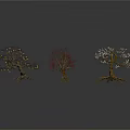 Three Decorative Trees With White Flowers Pink Blossoms Bare Branches And Exposed Roots Artistic