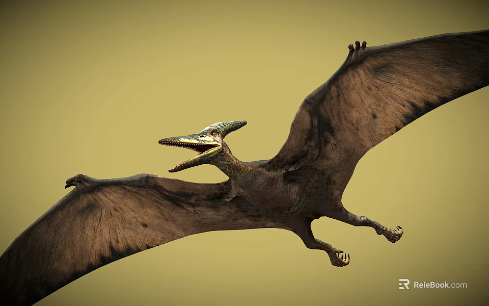 Flying Pterosaur With Outstretched Wings And Open Mouth In Yellow Sky 3d model 