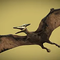 Flying Pterosaur With Outstretched Wings And Open Mouth In Yellow Sky