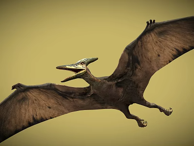 Flying Pterosaur With Outstretched Wings And Open Mouth In Yellow Sky 3d model Flying Pterosaur With Outstretched Wings And Open Mouth In Yellow Sky 3d model