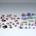 Vibrant Aquatic Plants With Colorful Coral In Various Underwater Shapes
