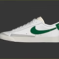 White Casual Sneakers With Green Nike Logo And Lace Up Design For Daily Wear
