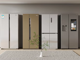 Modern Refrigerator Smart Double Door Refrigerator Internet Celebrity Embedded Refrigerator 3d model