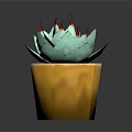 Close Up of Succulent Plant With Turquoise Leaves and Red Spines in Yellow Pot