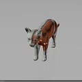 Educational Anatomical Cat Model Illustrating Internal Organs And External Hair Features