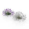 Purple And White Lavender Bouquets On White Background With Reflections 3d model