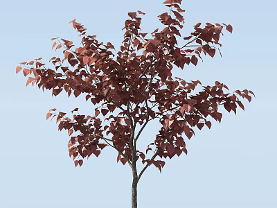 Vibrant Arbor With Lush Red Leaves Standing Against Clear Blue Sky 3d model