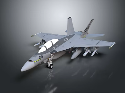 Gray Military Fighter Jet with Cockpit Missiles and Landing Gear Features 3d model