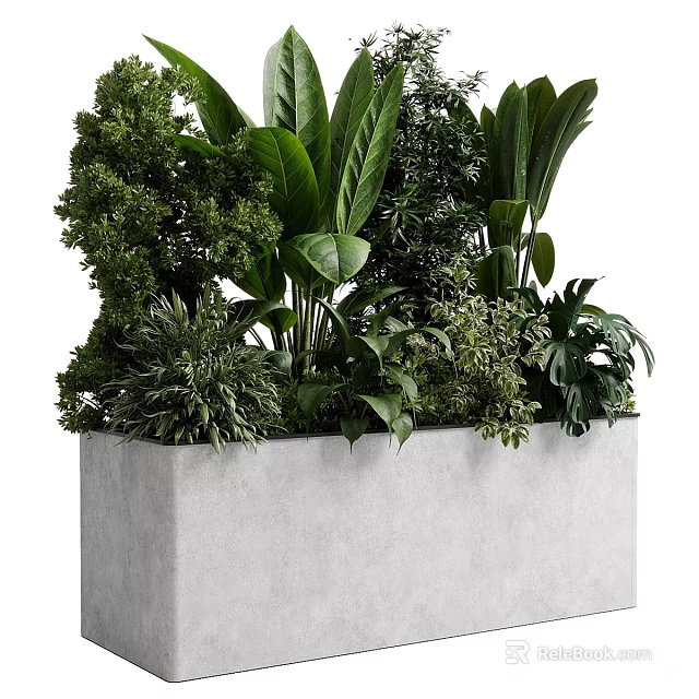 Bonsai Potted Plants With Various Green Foliage In Gray Rectangular Concrete Planter 3d model 