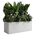 Bonsai Potted Plants With Various Green Foliage In Gray Rectangular Concrete Planter 3d model