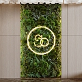 Green plant wall Image wall Plant wall Vertical greening 3d model