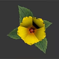 Yellow Flower Plant With Green Leaves In Brown Pot On Dark Background