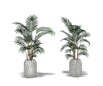 modern potted plant potted plant 3d model